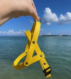 Small Dog Harness