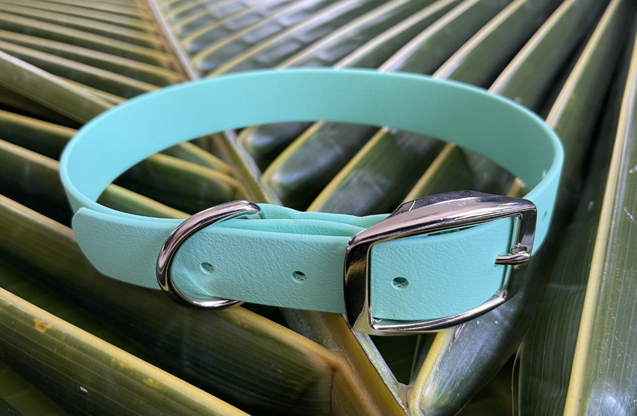 Biothane Collar Mint 1 inch