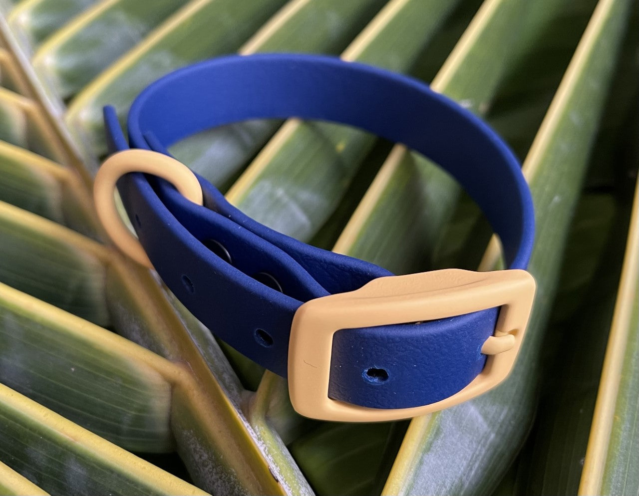 Biothane Collar Navy Blue With Yellow Buckle 3/4 inch