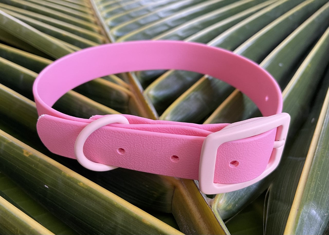 Biothane Collar Pale Pink 1 inch