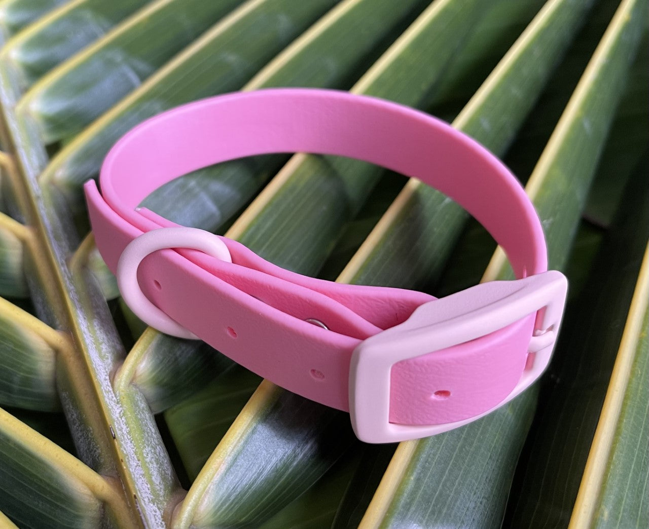 Biothane Collar Pale Pink 3/4 inch