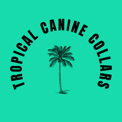 Tropical Canine Collars