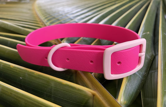 Biothane Collar Hot Pink 1 inch