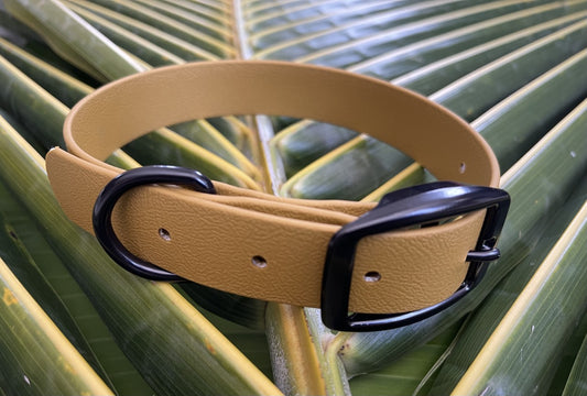 Biothane Collar Gold 1 inch