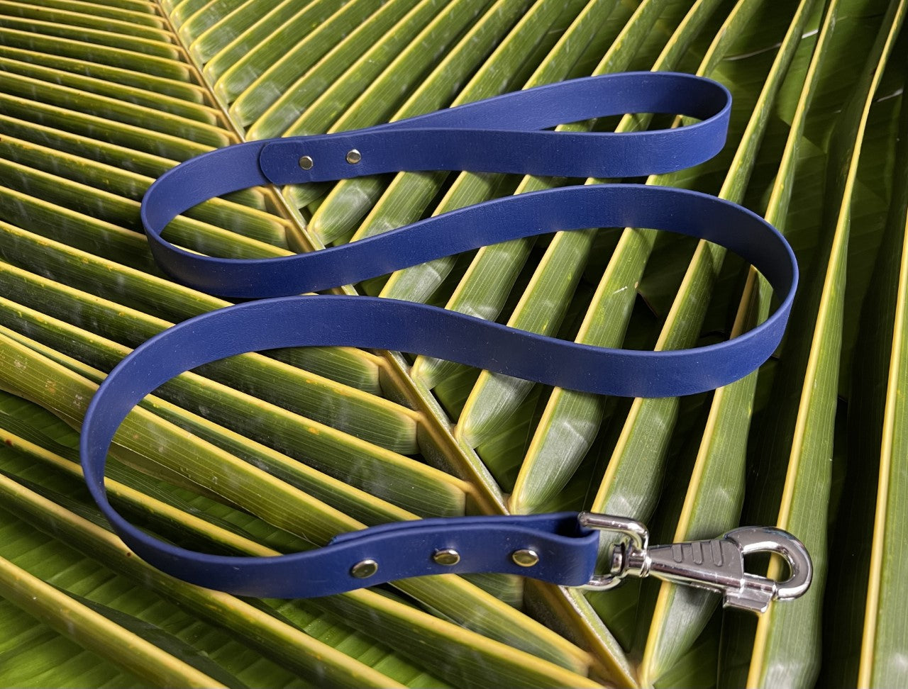 Biothane Leash Navy 1 inch Wide