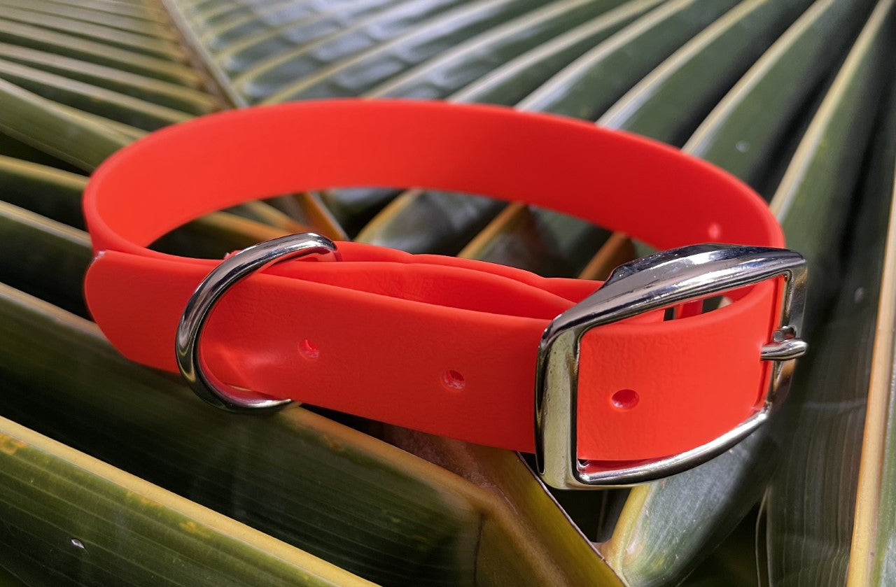 Biothane 1 Inch Biothane Collar Orange 1 inch – Tropical Canine Collars Limited