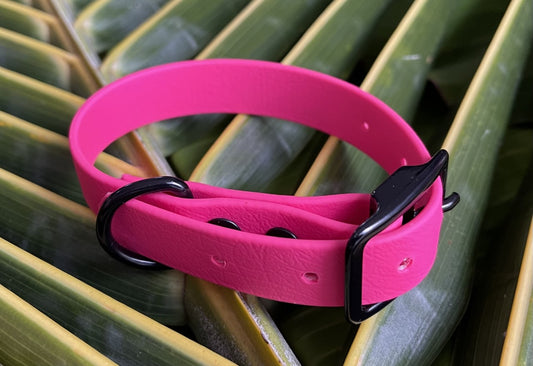 Biothane Collar Hot Pink 3/4 inch